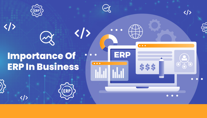 Importance of erp in business