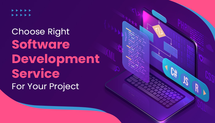 choose right software development service