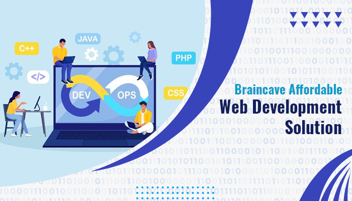 Affordable Web Development solutions